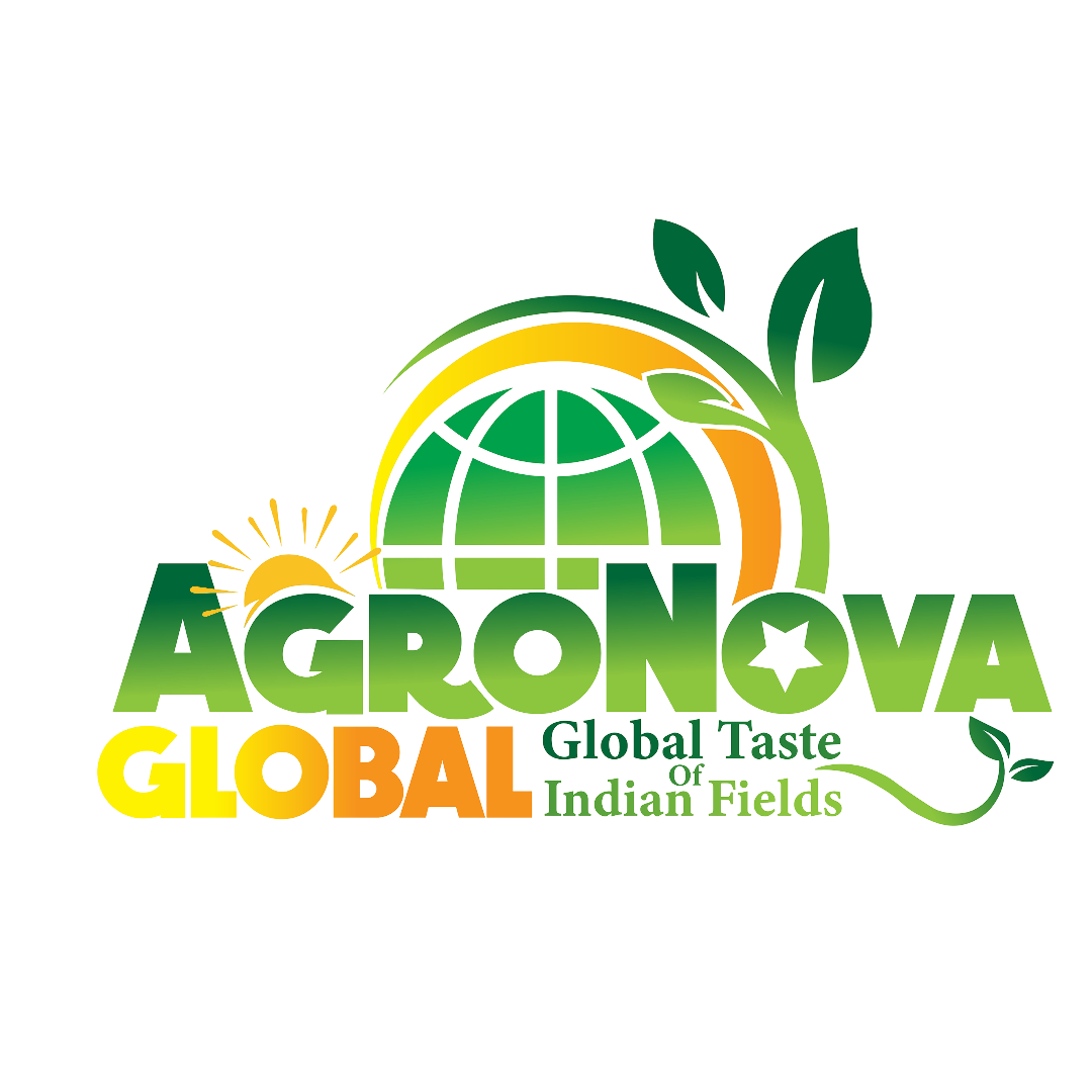 Agronova Global Logo